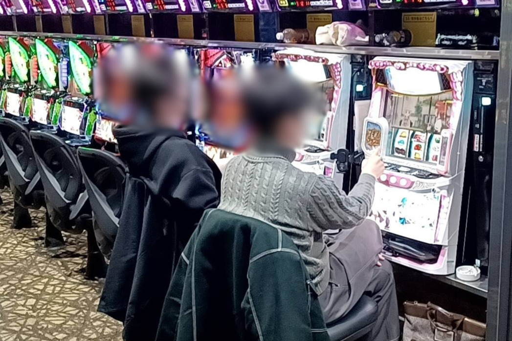 写真レポート