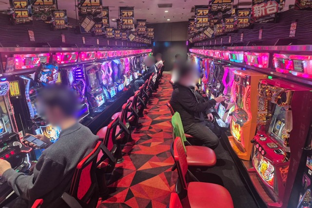 写真レポート